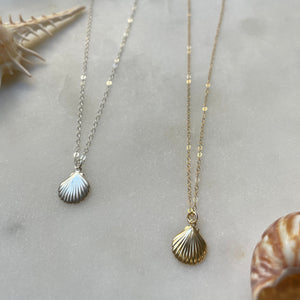 Dainty Sea Shell necklace