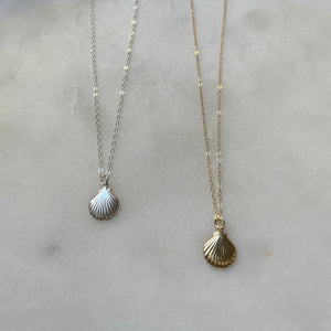 Dainty Sea Shell necklace